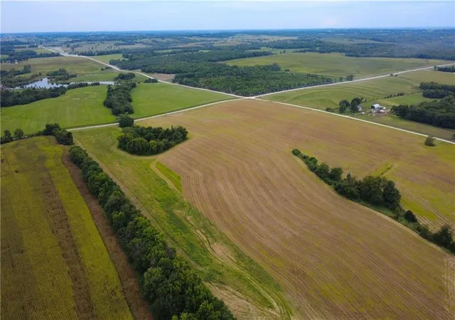 Photo 2 of Land for sale at 0000 315th And Nelson Rd, Drexel, MO 64742 | MLS# 2639205 | Listing updated on 2026-08-27