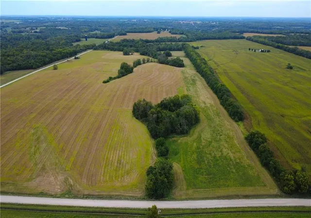 Photo 3 of Land for sale at 0000 315th And Nelson Rd, Drexel, MO 64742 | MLS# 2639205 | Listing updated on 2026-08-27