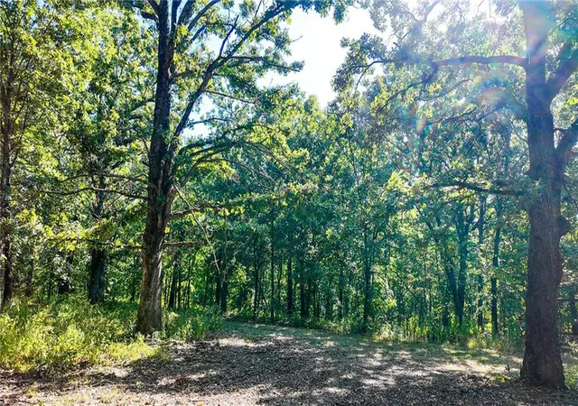 Photo 3 of Land for sale at 1855 Ne 655 Private Rd, Osceola, MO 64776 | MLS# 2639469 | Listing updated on 2026-08-29