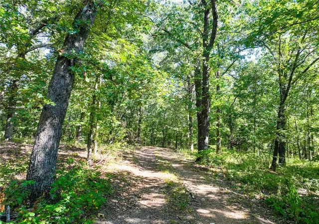 Photo 4 of Land for sale at 1855 Ne 655 Private Rd, Osceola, MO 64776 | MLS# 2639469 | Listing updated on 2026-08-29