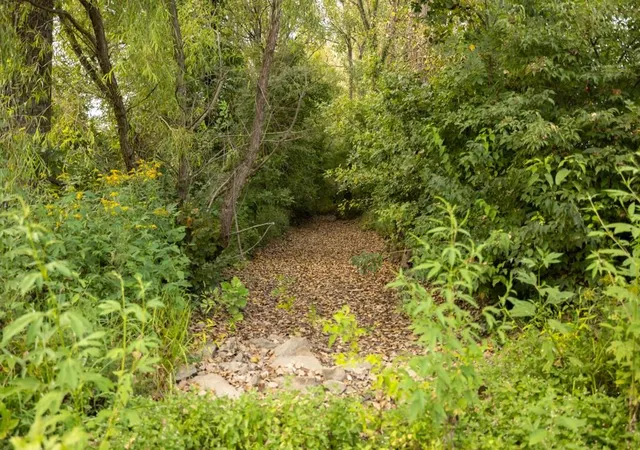 Photo 58 of Land for sale at E 355Th St, Creighton, MO 64739 | MLS# 2639507 | Listing updated on 2026-08-29