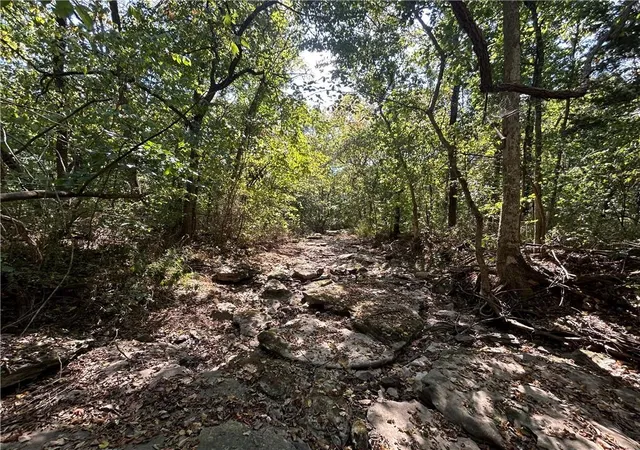 Photo 3 of Land for sale at 471 Se 1131 Road, Clinton, MO 64735 | MLS# 2639514 | Listing updated on 2026-10-19