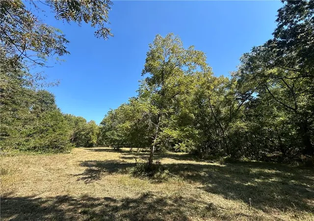 Photo 2 of Land for sale at 471 Se 1131 Road, Clinton, MO 64735 | MLS# 2639514 | Listing updated on 2026-10-19