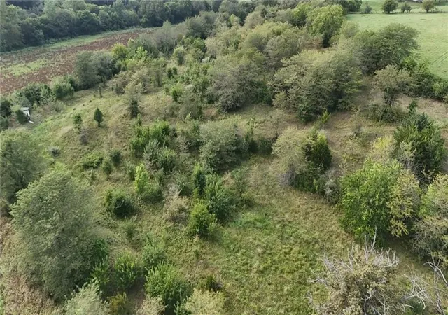 Photo 2 of Land for sale at State Route E, Savannah, MO 64485 | MLS# 2639696 | Listing updated on 2026-08-31