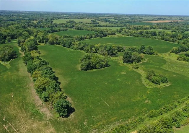 Photo 2 of Land for sale at Inlet Rd, Purdin, MO 64674 | MLS# 2640078 | Listing updated on 2026-10-06
