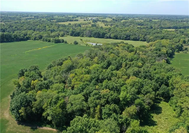 Photo 3 of Land for sale at Inlet Rd, Purdin, MO 64674 | MLS# 2640078 | Listing updated on 2026-10-06