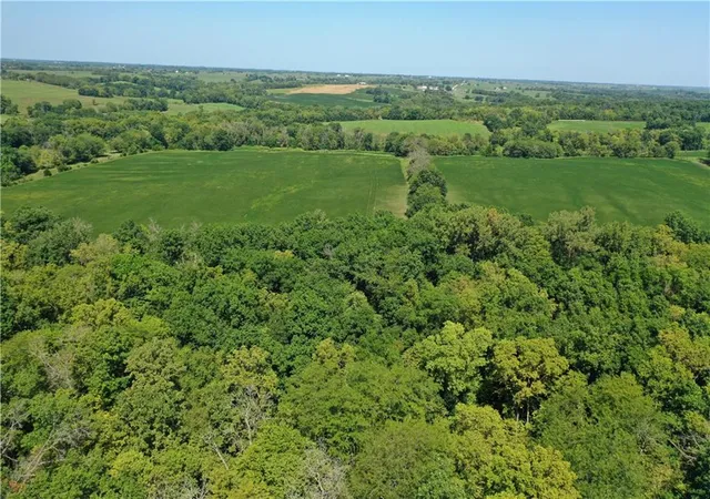Photo 4 of Land for sale at Inlet Rd, Purdin, MO 64674 | MLS# 2640078 | Listing updated on 2026-10-06