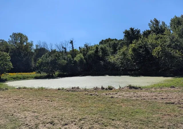 Photo 3 of Single family home for sale at 11205 S Cave Rd, Lone Jack, MO 64070 | MLS# 2640688 | Listing updated on 2026-09-08