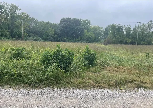 Photo 2 of Land for sale at 00000 Ramona Dr, Odessa, MO 64076 | MLS# 2640991 | Listing updated on 2026-10-05