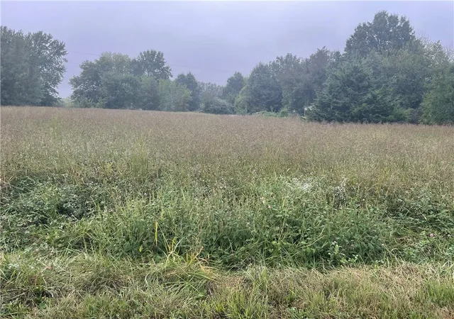 Photo 2 of Land for sale at 00002 Ramona Dr, Odessa, MO 64076 | MLS# 2641001 | Listing updated on 2026-10-05