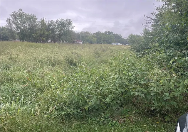 Photo 2 of Land for sale at 00000 Jason Dr, Odessa, MO 64076 | MLS# 2641007 | Listing updated on 2026-10-05