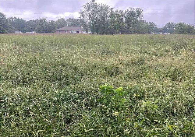 Photo 2 of Land for sale at 00001 Jason Dr, Odessa, MO 64076 | MLS# 2641010 | Listing updated on 2026-10-05