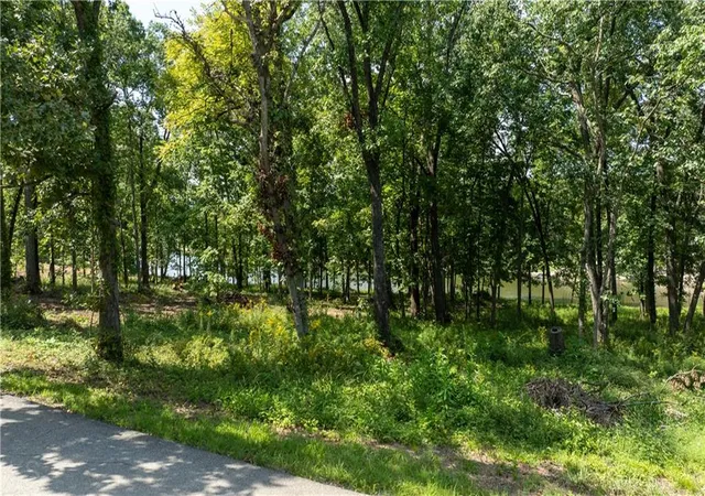 Photo 3 of Land for sale at 1040 S Fork Ln, Tipton, MO 65081 | MLS# 2641036 | Listing updated on 2026-09-18