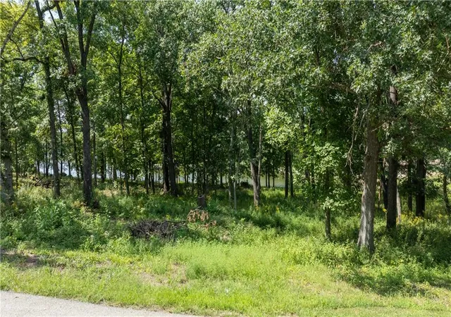Photo 4 of Land for sale at 1040 S Fork Ln, Tipton, MO 65081 | MLS# 2641036 | Listing updated on 2026-09-18