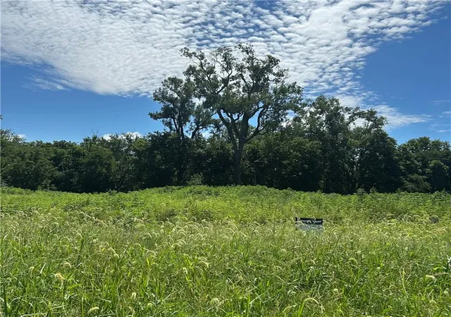Land for sale at Lot 4 Hope Ln, Odessa, MO 64076 | MLS# 2642701