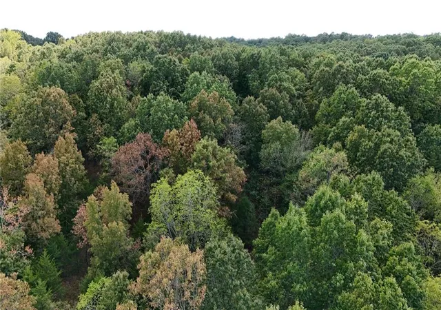 Photo 3 of Sale Pending at Xx Aspen Rd, Ozark, MO 65721 | MLS# 2642862 | Listing updated on 2026-09-20