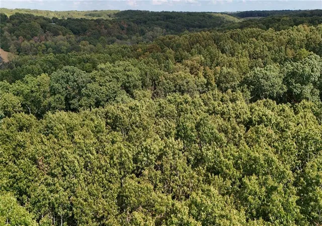 Photo 4 of Sale Pending at Xx Aspen Rd, Ozark, MO 65721 | MLS# 2642862 | Listing updated on 2026-09-20