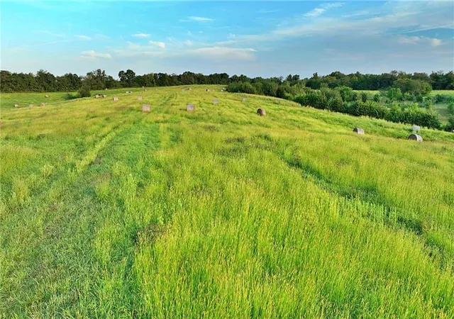 Photo 2 of Land for sale at E 330th Street, Bethany, MO 64424 | MLS# 2642970 | Listing updated on 2026-09-24