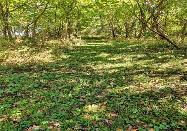 Photo 3 of Land for sale at 9560 Nw Hillsboro Rd, Kansas City, MO 64153 | MLS# 2643012 | Listing updated on 2026-10-06