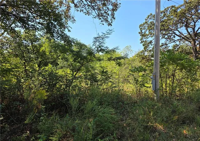 Photo 3 of Land for sale at 000 E Abbott Rd, Schell City, MO 64783 | MLS# 2643211 | Listing updated on 2026-09-21