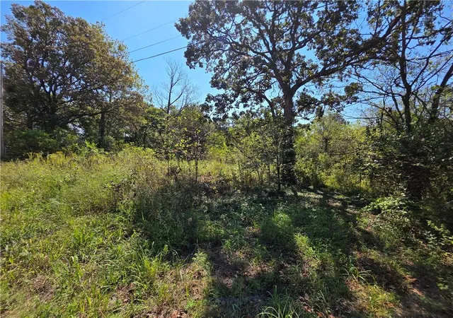 Photo 3 of Land for sale at 000 E Abbott Rd, Schell City, MO 64783 | MLS# 2643211 | Listing updated on 2026-09-21