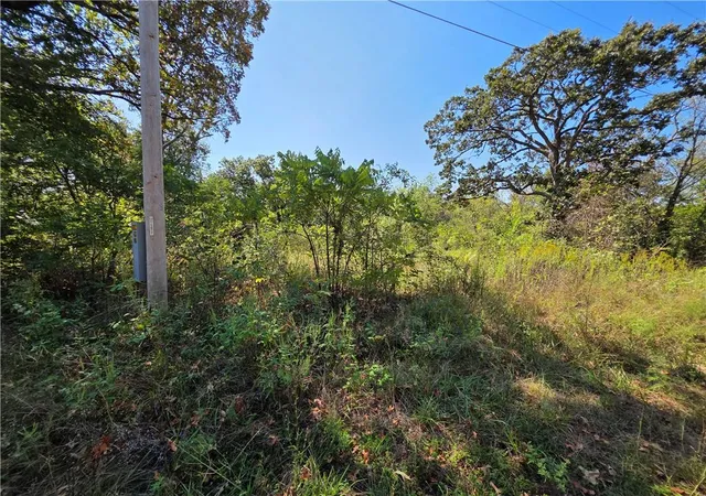 Photo 4 of Land for sale at 000 E Abbott Rd, Schell City, MO 64783 | MLS# 2643211 | Listing updated on 2026-09-21