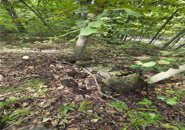 Photo 3 of Land for sale at 41 SE Lakeside Dr, La Cygne, KS 66040 | MLS# 2643470 | Listing updated on 2026-09-27