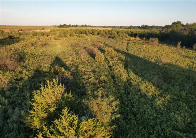 Photo 1 of Land for sale at 890 Northwest 100th Rd, Liberal, MO 64762 | MLS# 2643677 | Listing updated on 2026-09-24