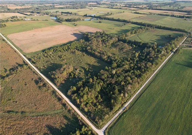 Photo 3 of Land for sale at 890 Northwest 100th Rd, Liberal, MO 64762 | MLS# 2643677 | Listing updated on 2026-09-24