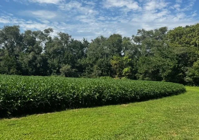 Photo 1 of Sale Pending at West 82nd St, De Soto, KS 66018 | MLS# 2643886 | Listing updated on 2026-10-01