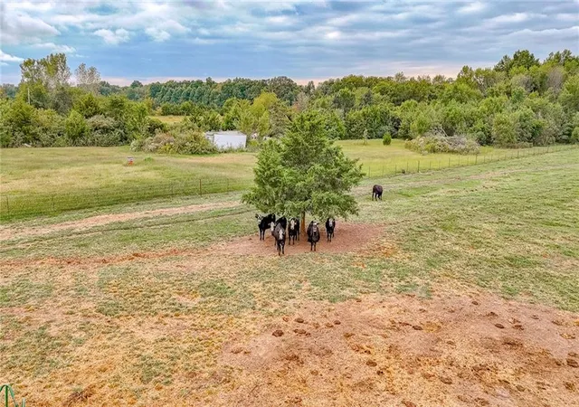 Photo 4 of Land for sale at 362 SW T Hwy, Kingsville, MO 64061 | MLS# 2644028 | Listing updated on 2026-09-29