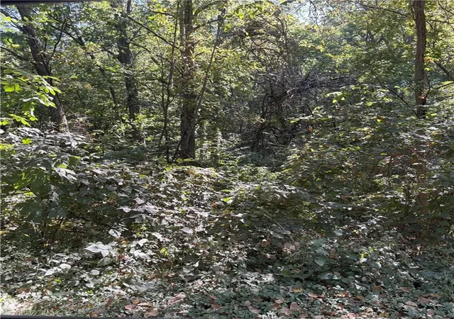 Photo 3 of Land for sale at Poplar St, Lawson, MO 64062 | MLS# 2644144 | Listing updated on 2026-09-30