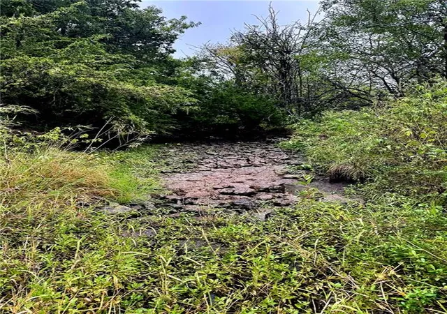 Photo 2 of Land for sale at 00000 Sunflower Rd, Edgerton, KS 66021 | MLS# 2644282 | Listing updated on 2026-10-07