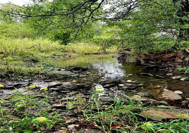 Photo 1 of Land for sale at 00000 Sunflower Rd, Edgerton, KS 66021 | MLS# 2644282 | Listing updated on 2026-10-07