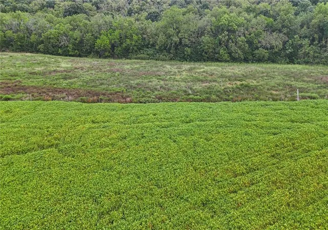 Photo 4 of Land for sale at 1087 1135 Road, Lawrence, KS 66047 | MLS# 2644287 | Listing updated on 2026-09-26