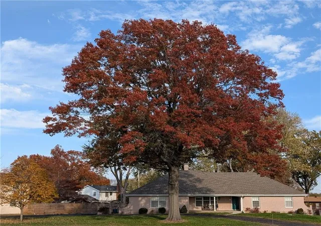 Photo 3 of Single family home for sale at 3609 Blue Ridge Blvd, Independence, MO 64052 | MLS# 2644325 | Listing updated on 2026-10-08