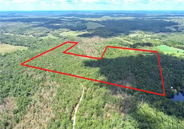 Photo 3 of Land for sale at 000 1200 Road, Collins, MO 64738 | MLS# 2644608 | Listing updated on 2026-09-29