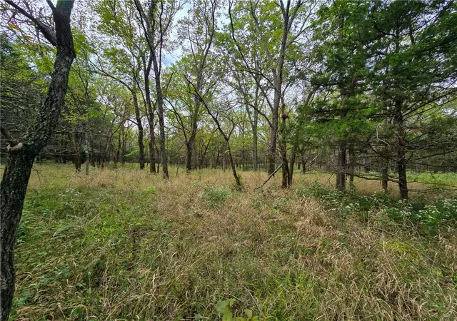 Photo 3 of Land for sale at 22102 75 Highway, Lyndon, KS 66451 | MLS# 2644760 | Listing updated on 2026-10-07