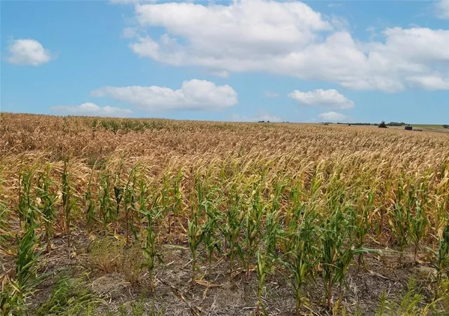 Photo 2 of Land for sale at 000 W Union Rd, Phillipsburg, KS 67661 | MLS# 2644992 | Listing updated on 2026-10-05