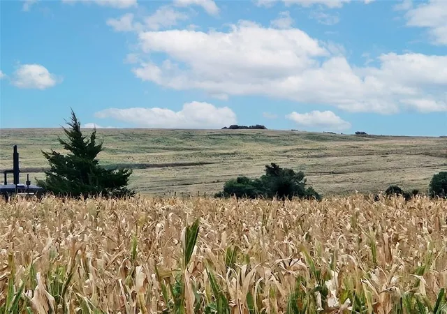 Photo 3 of Land for sale at 000 W Union Rd, Phillipsburg, KS 67661 | MLS# 2644992 | Listing updated on 2026-10-05