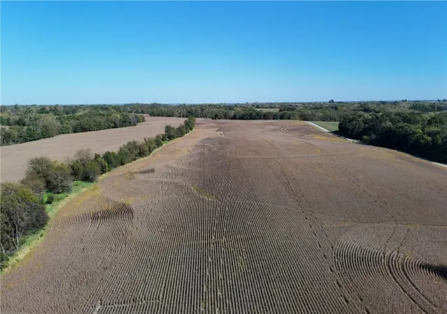 Photo 4 of Land for sale at SE Frank Ross Rd, Maysville, MO 64469 | MLS# 2645080 | Listing updated on 2026-10-07