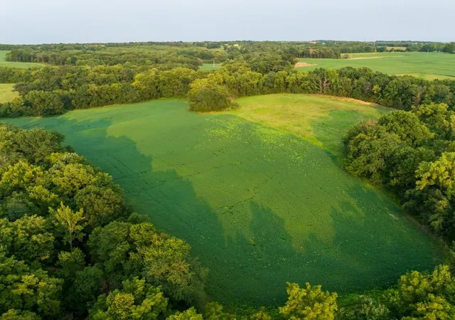 Photo 3 of Land for sale at 000 Ewing Dr, Pilot Grove, MO 65276 | MLS# 2645116 | Listing updated on 2026-10-01