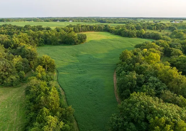 Photo 3 of Land for sale at 000 Ewing Dr, Pilot Grove, MO 65276 | MLS# 2645116 | Listing updated on 2026-10-01