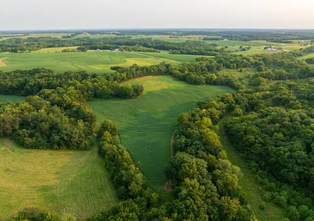 Photo 4 of Land for sale at 000 Ewing Dr, Pilot Grove, MO 65276 | MLS# 2645116 | Listing updated on 2026-10-01