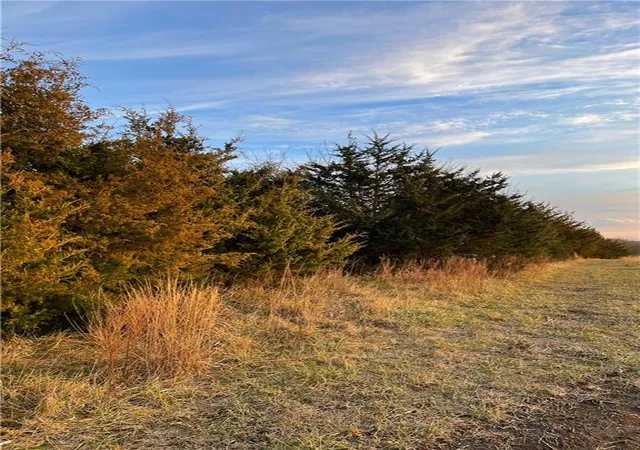 Photo 4 of Land for sale at 235th Street, Easton, KS 66020 | MLS# 2645145 | Listing updated on 2026-10-09