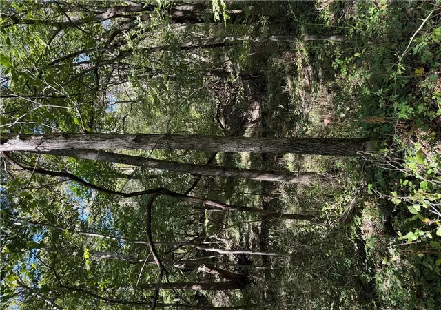 Photo 4 of Land for sale at Lot 3/tract 3a E State Route Vv, Pleasant Hill, MO 64080 | MLS# 2645248 | Listing updated on 2026-10-06