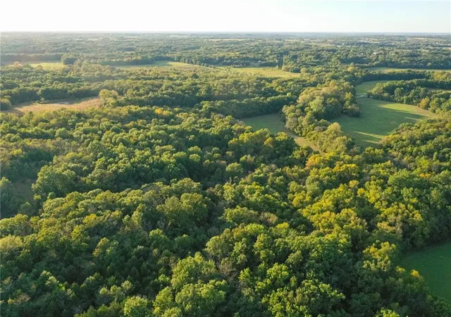 Photo 3 of Land for sale at Tbd 651st Rd, Knob Noster, MO 65336 | MLS# 2645278 | Listing updated on 2026-10-08