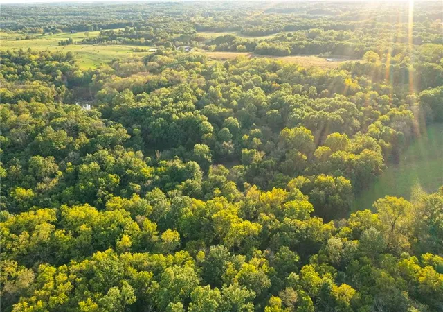Photo 4 of Land for sale at Tbd 651st Rd, Knob Noster, MO 65336 | MLS# 2645278 | Listing updated on 2026-10-08