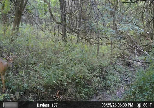 Photo 1 of Land for sale at 0000000 Key Ave, Gallatin, MO 64640 | MLS# 2645407 | Listing updated on 2026-10-05