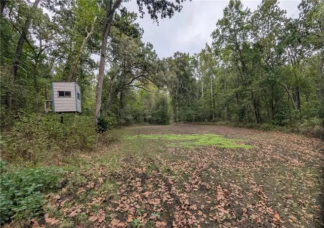 Photo 3 of Land for sale at 5740 731 Road, Collins, MO 64738 | MLS# 2645905 | Listing updated on 2026-10-07